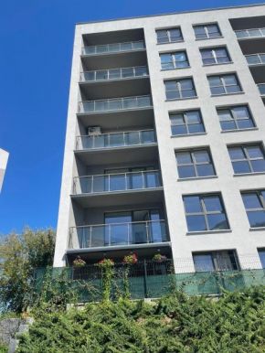 Apartament Centrum,